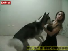 Bestiality Gals Doing Sex With Her Dog